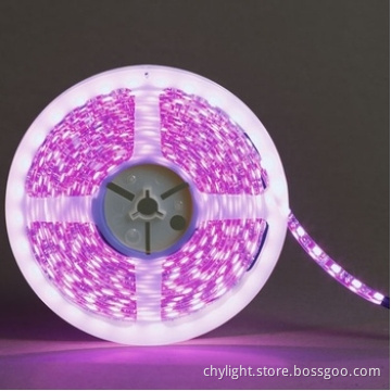 Strip Cover LED Tube Light 5050 Waterproof IP64